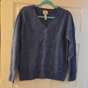 St. John's Bay Textured Blue V-Neck Sweater